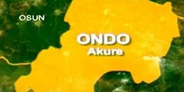 Ondo 2024: We will be transparent— REC assures electorate, stakeholders