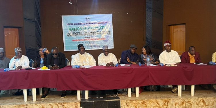 NANNM Advocate policies To Enhance Development of Nurses and Midwives