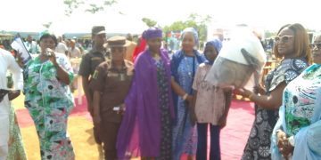 Kwara Female Lawmaker Empowers 1,200 Artisans, Widows