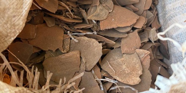 Kano/Jigawa Customs Sizes 2,179kg of Pangolin Scales in Joint Operation