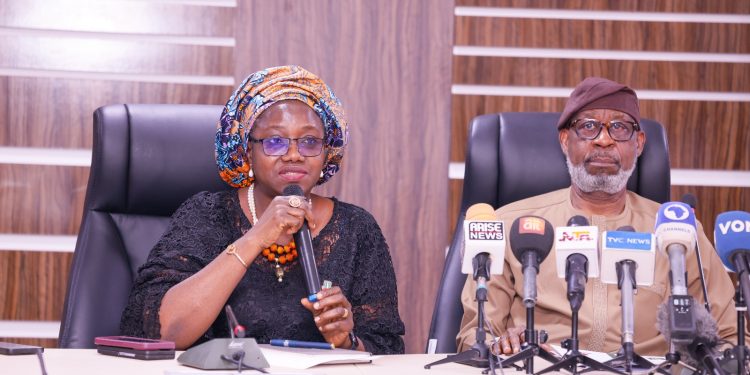 FG lifts ban on exploration in Zamfara