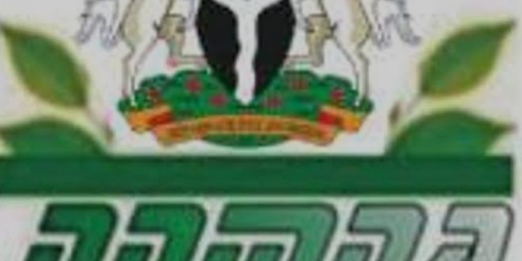 Agency Seeks Natural Solutions to Health Challenges in Nigeria