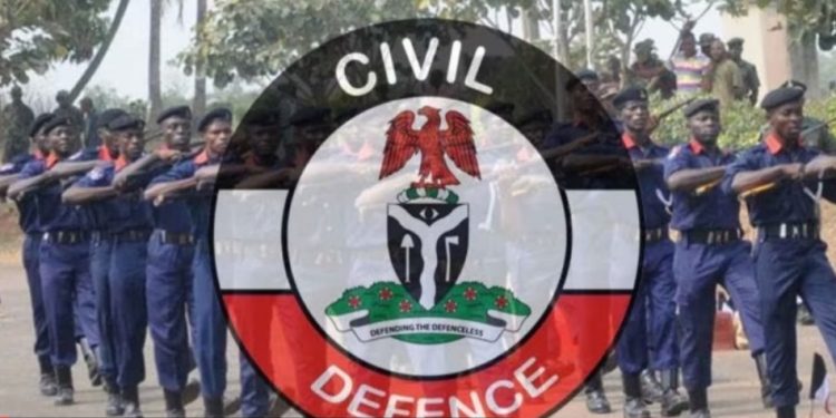 NSCDC Unveils 2025 Plan To Tackle Illegal Mining