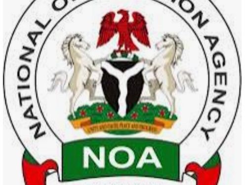 Ondo NOA Advocates Active Participation of Residents in Council Election