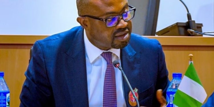 Minister Orders Deployment Of Passport Printers In US Consulates