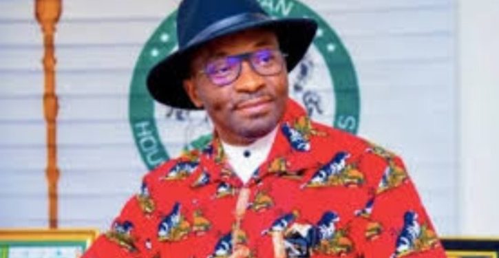 $10b Saved From Subsidy Removal in 2023 as Nigeria Records 22% Rise in Remittances -Deputy Speaker