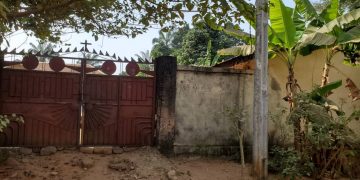 Anambra State Police Command Confime Death Of Three Siblings.