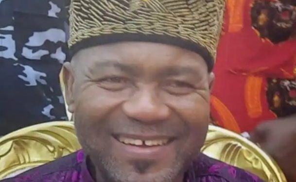 Ex-Nigerian Senator Emerges New Ohanaeze President-General