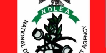NDLEA Arrests Eight Hundred Suspects In Zamfara