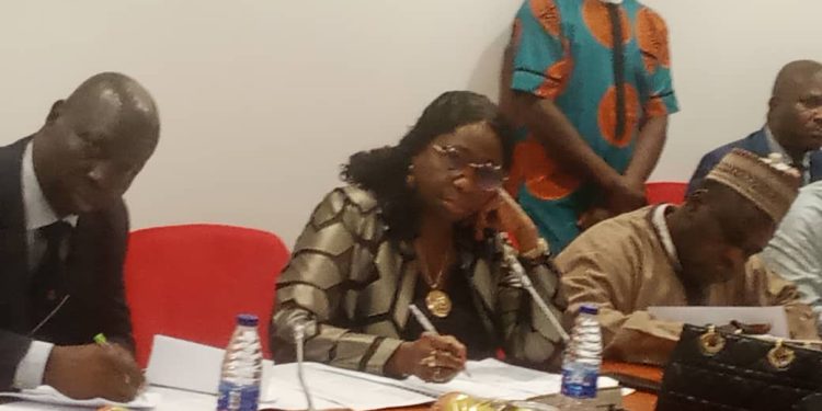 NIDCOM Says Nigerians Abroad Spent N60 Billion In The Country Last December