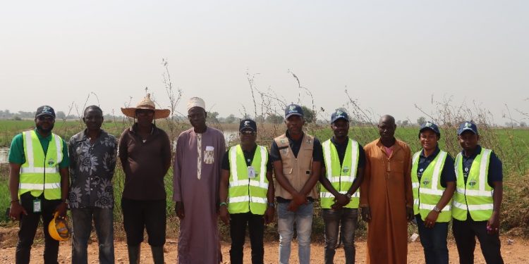 Over 3,000 Hectares of Rice Plantations Flooded In  Shonga Kwara state