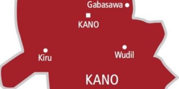 Bird Flu Disease Detected In Kano, Residents Warned Against Eating Sick Birds
