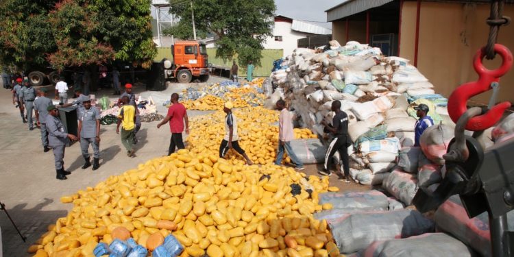 NDLEA Arrests 45 Drug Traffickers, Seizes 537kg of Illicit Drugs In Yobe.