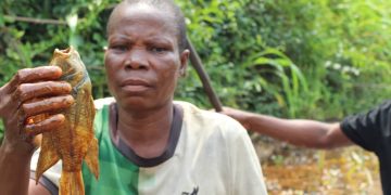 Oil Spill Devastates Obololi Community In Bayelsa State