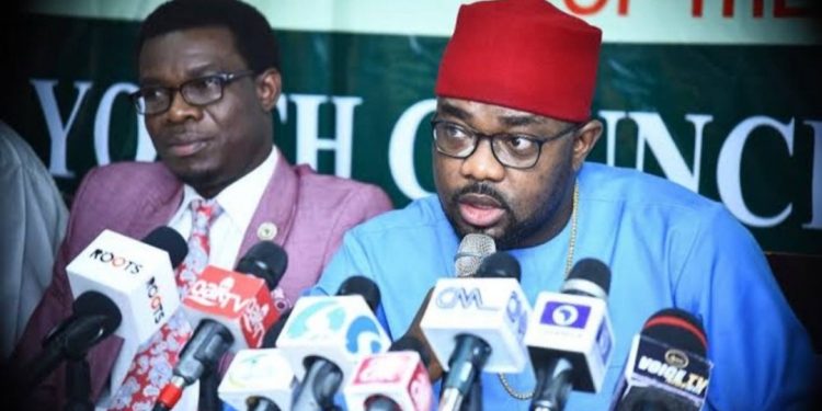There Is Plot To Stop PDP NEC Meeting, Ugochinyere Alleges.