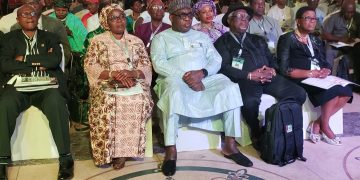 Critical Minerals Will Increase Nigeria’s GDP, Says Adedayo