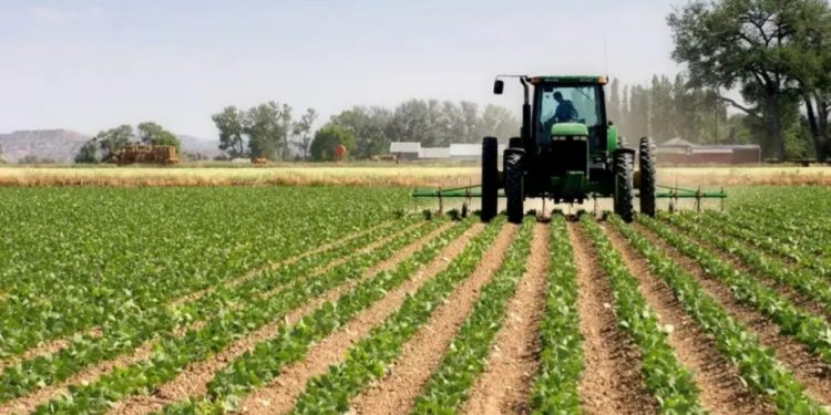 FG To Strengthen Agricultural Infrastructure