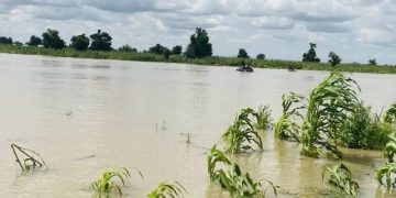 Yobe Partners FAO To Launch Floodwater Harvesting Project.