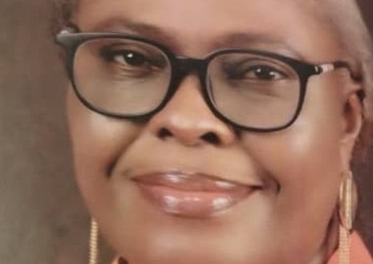 Institute Of Town Planners Decries Poor Implementation Of Urban Planning Law