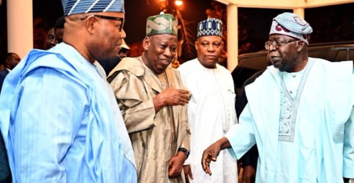 APC NEC Passes Vote Of Confidence On Tinubu,