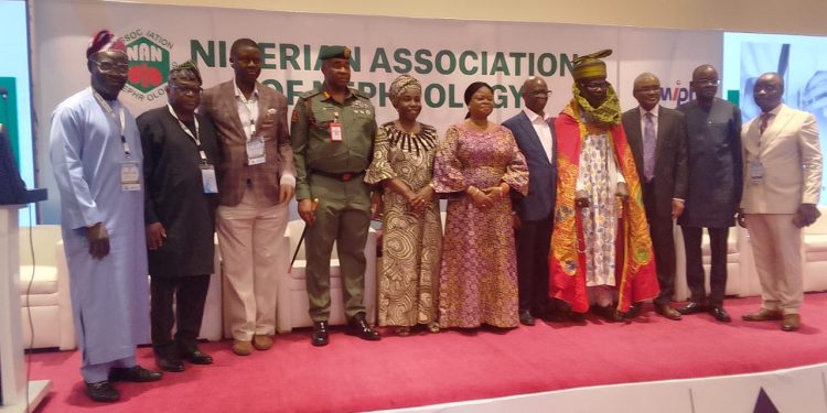 Nigeria Association Of Nephrology Urges Government To Increase Funding For Kidney Disease Treatment