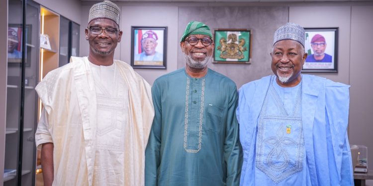 Nasarawa Critical To Minerals Development – Alake