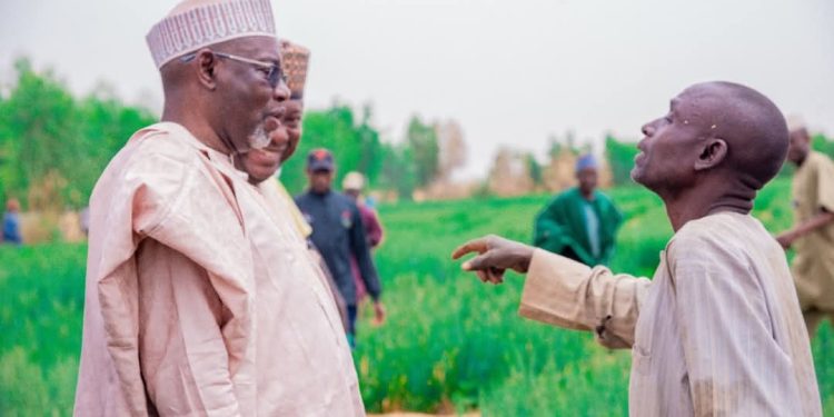 Jigawa Train youths In Wheat Farming