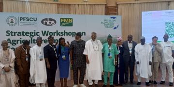 Shettima Calls For Climate-Smart Agriculture To Boost Food Security