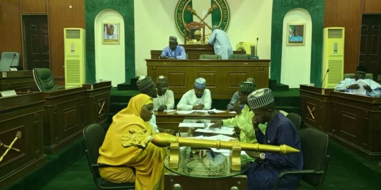 Yobe Assembly Passes Bill To Amend Healthcare Management Agency Law