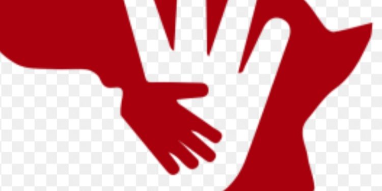 Foundation Pushes For More Women Inclusive Government.