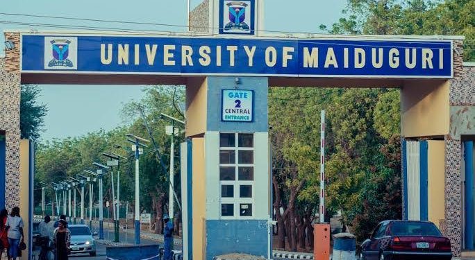 Tinubu Renames University of Maiduguri After Late Former President Muhammadu Buhari