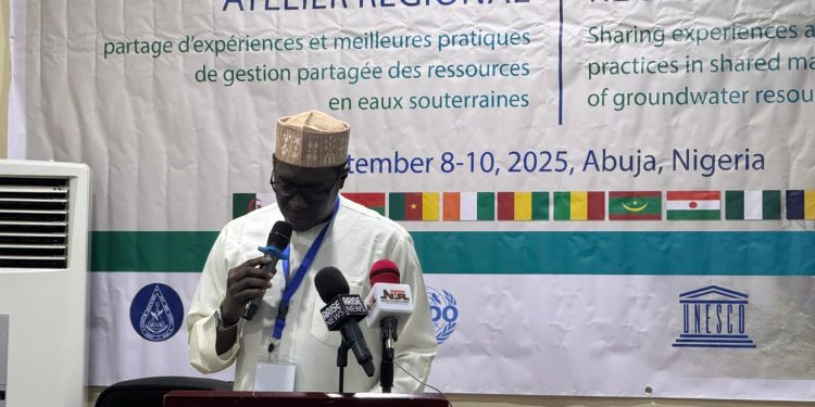 Nigeria, Niger Basin Countries Move To Recharge Groundwater, Boost Agriculture