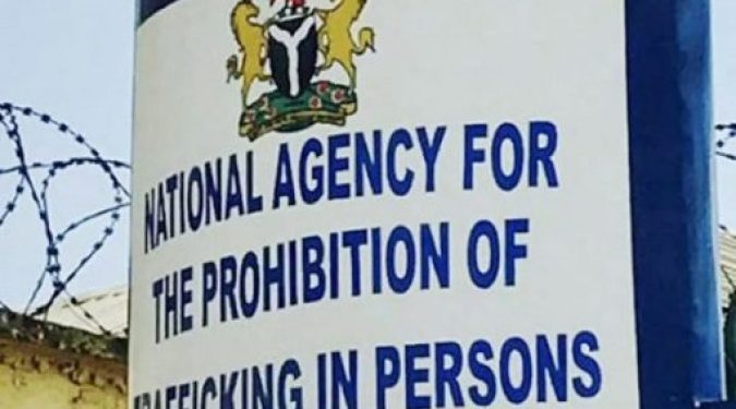 93 Traffickers Jailed, 120 Children Rescued In 2025 — NAPTIP