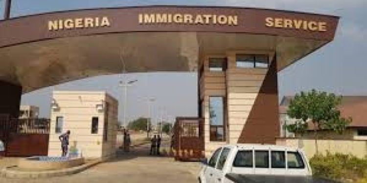 Traveler Alleges Bribe Demand By Immigration Officers At Seme Border