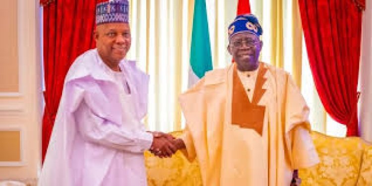 APC Backs Tinubu–Shettima Ticket, Rejects 2027 Speculation