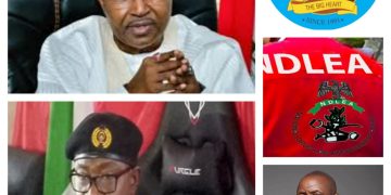 Delta Govt Commends NDLEA Over Major Drug Seizure