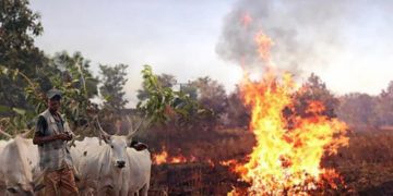 Three Children Burnt To Death While Grazing Cattle