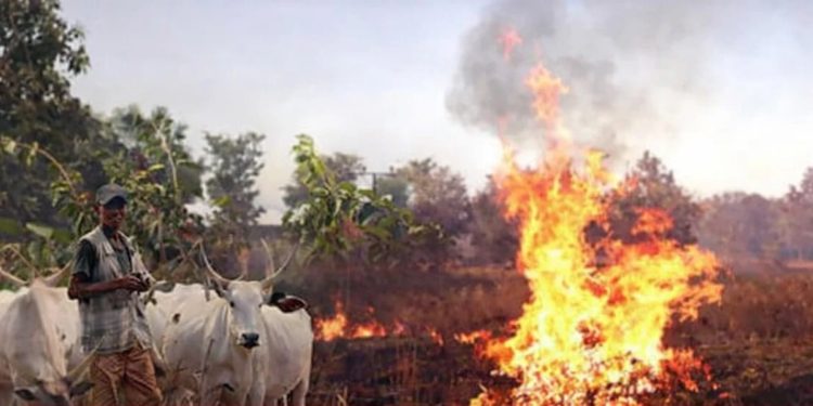 Three Children Burnt To Death While Grazing Cattle