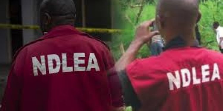 NDLEA Officer Killed, Six Arrested In Bonny Drug Raid