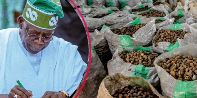 Nigeria Declares Bid For Membership Of UN Human Rights Council