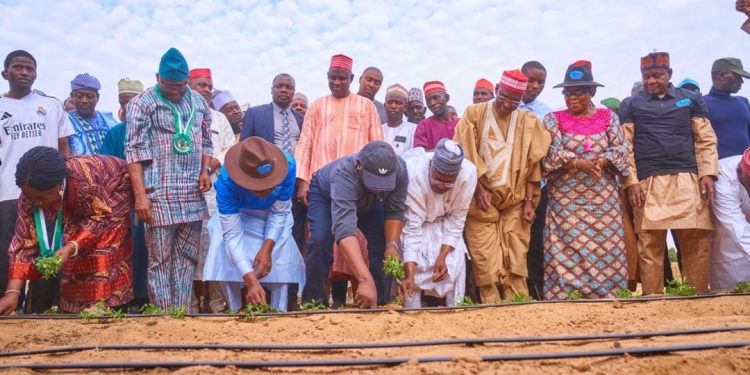 FG Boosts Irrigation, Flood Control With New Dam Project In Kano