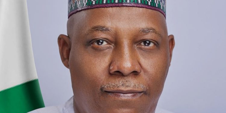 VP Shettima To Lead National Economic Council Conference On Inclusive Growth