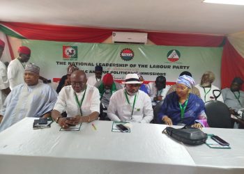 Labour Party Must Reunite And Strategically Consolidate For 2027 – Otti