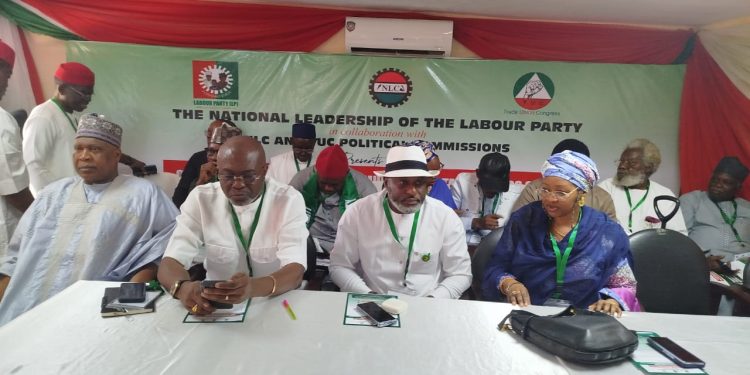 Labour Party Must Reunite And Strategically Consolidate For 2027 – Otti