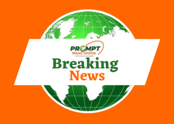 France Arrests Woman After Newborns’ Bodies Found in Freezer