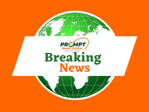 France Arrests Woman After Newborns’ Bodies Found in Freezer