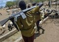 30,000 armed Fulani militants driving Nigeria’s insecurity — US Report