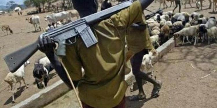 30,000 armed Fulani militants driving Nigeria’s insecurity — US Report