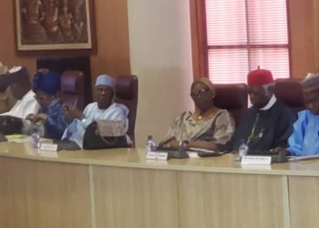 Nwachukwu Warns Against Politicisation Of Ambassadorial Appointments