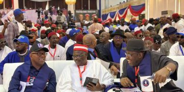 JUST IN: NDC zones presidency to South for single term